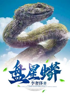 盘星月菩提用什么手套最好